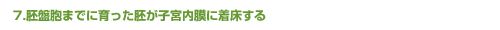胚盤胞までに育った胚が子宮内膜に着床する