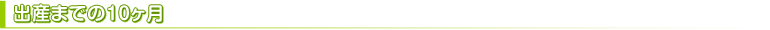 出産までの10ヶ月
